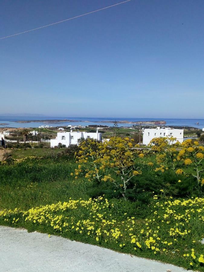 Traditional House Paros Sarakíniko Exteriör bild